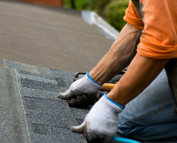 Roof Gutter Cleaning in Anthem, AZ